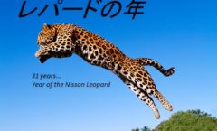 Year of the Leopard