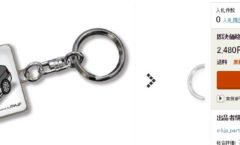 Drawn F31 key chains