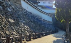 Wandering Leopard Japan - Day 3 - Himeji Castle 2023